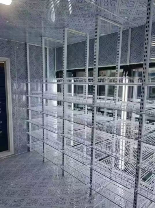 Walk-in cold room interior with display shelving